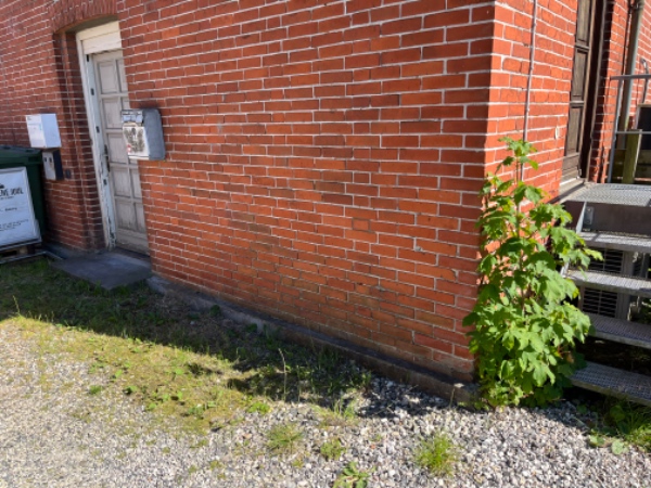Fjerne ukrudt i baggård