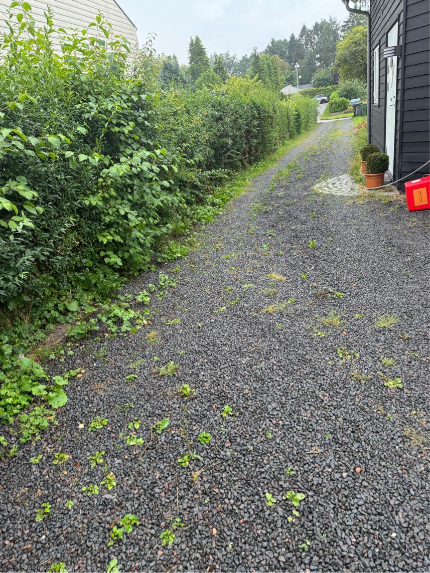 Rense ukrudt fra indkørsel