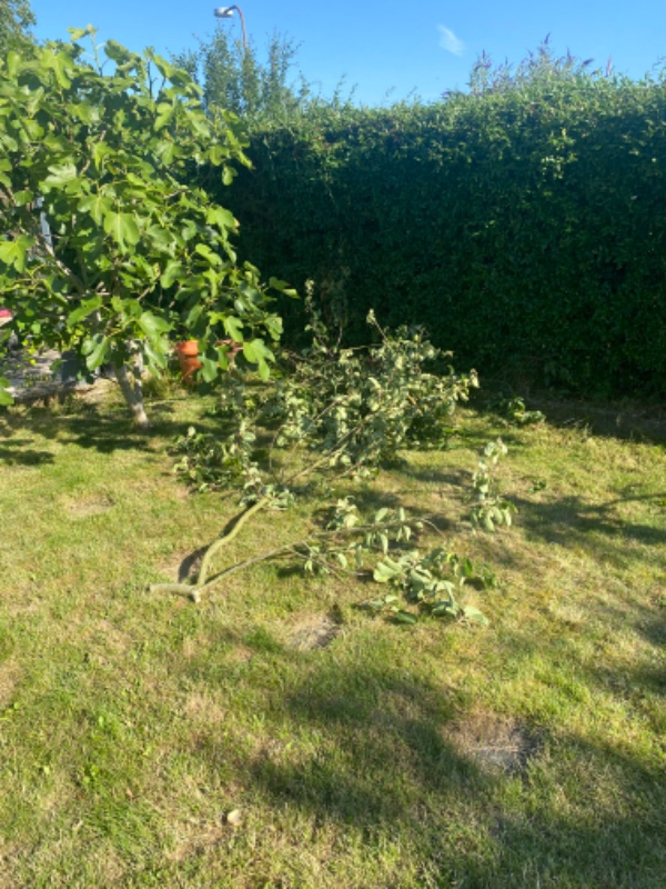 Haveaffald tranport , opskæring, oprydning