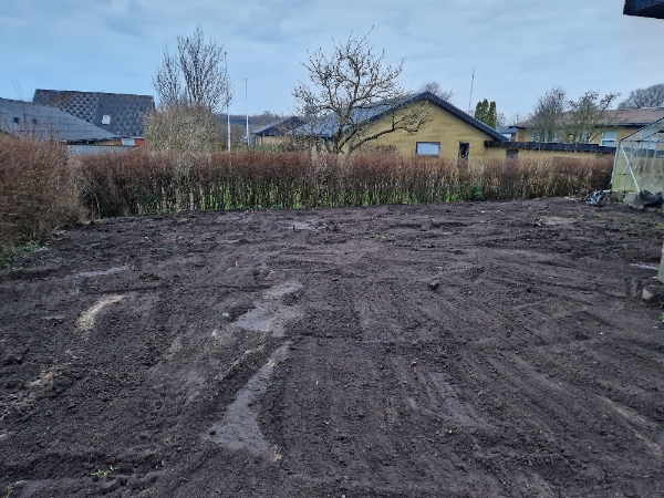 Anlæg af græsplæne