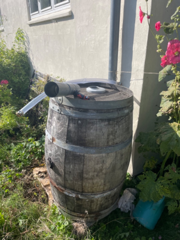 Handyman, havelåge, regnvanstønde