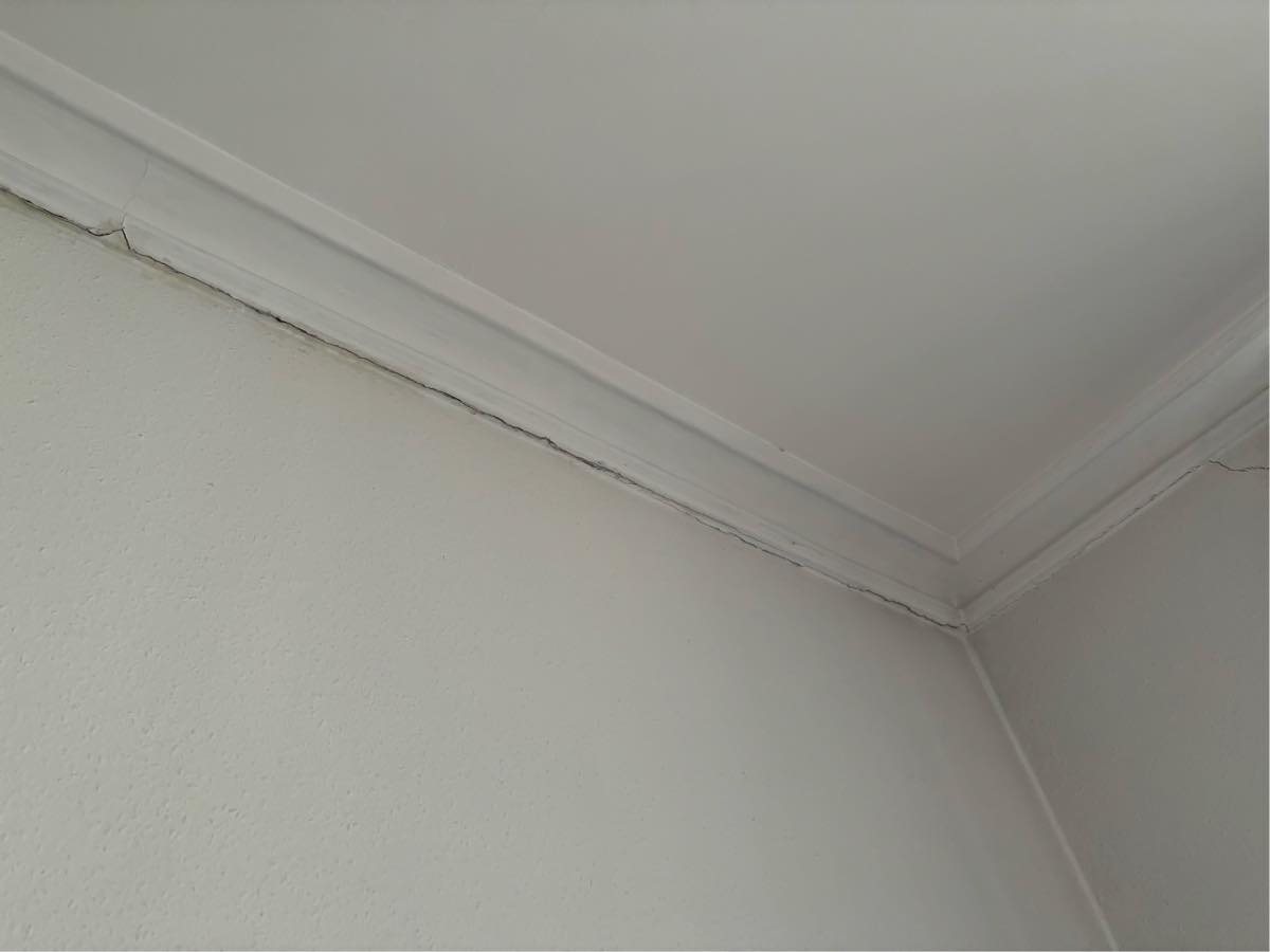 Fixe revne på loftskanten