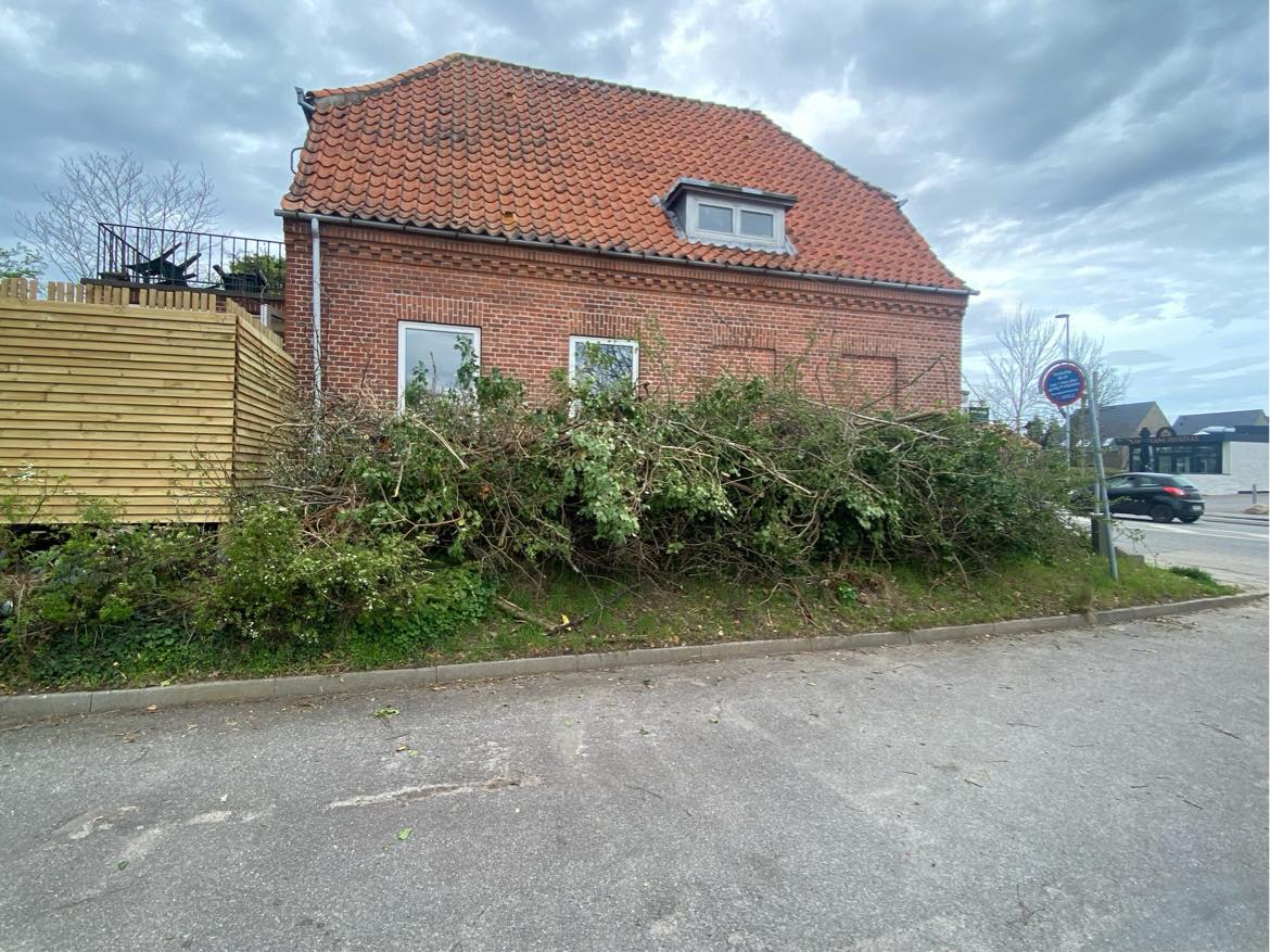 Bortkørsel af træ og grene