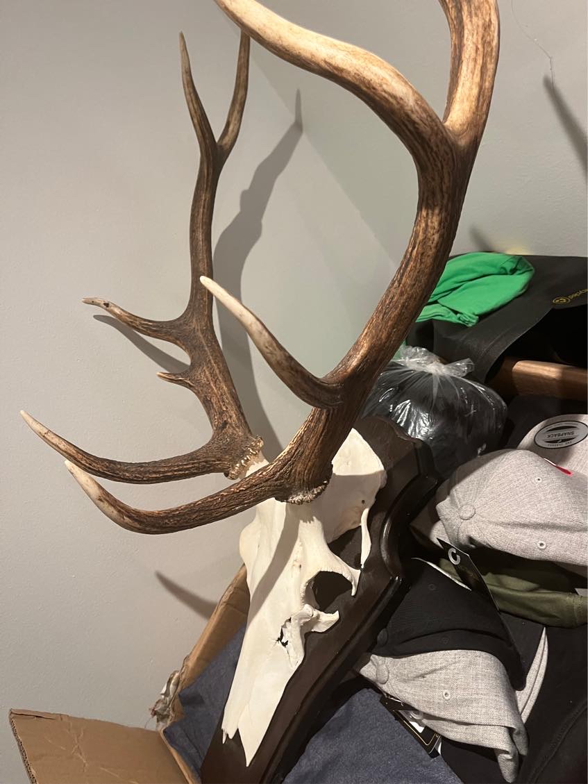 Ophæng af lamper og billeder