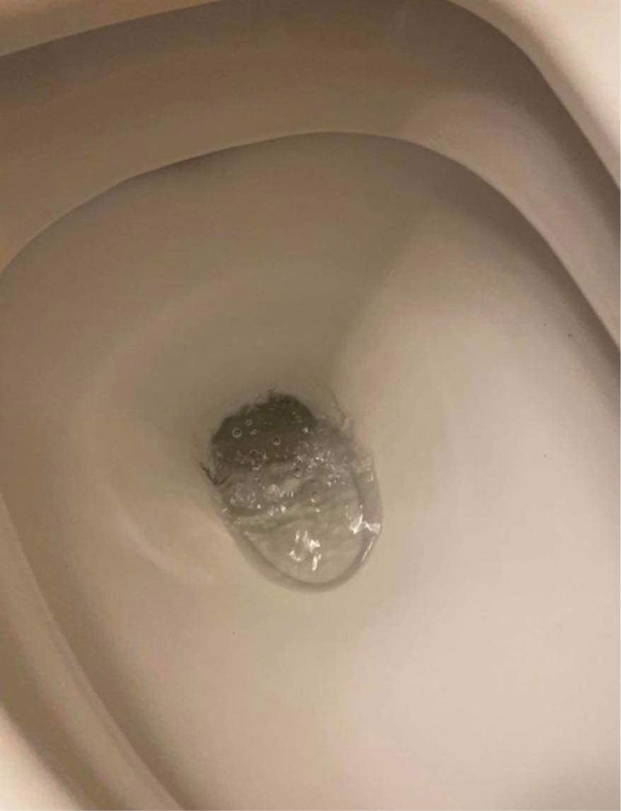 Mit toilet skylder selv ud