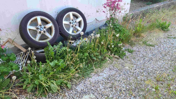 fjerne ukrudt og klippe hæk