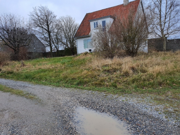 Slåning af græsplæne