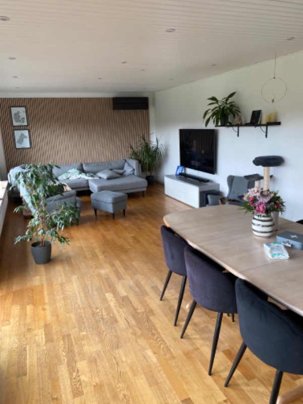 Maling af vægge og lofter i stue/entre ca. 57 kvm gulv. 