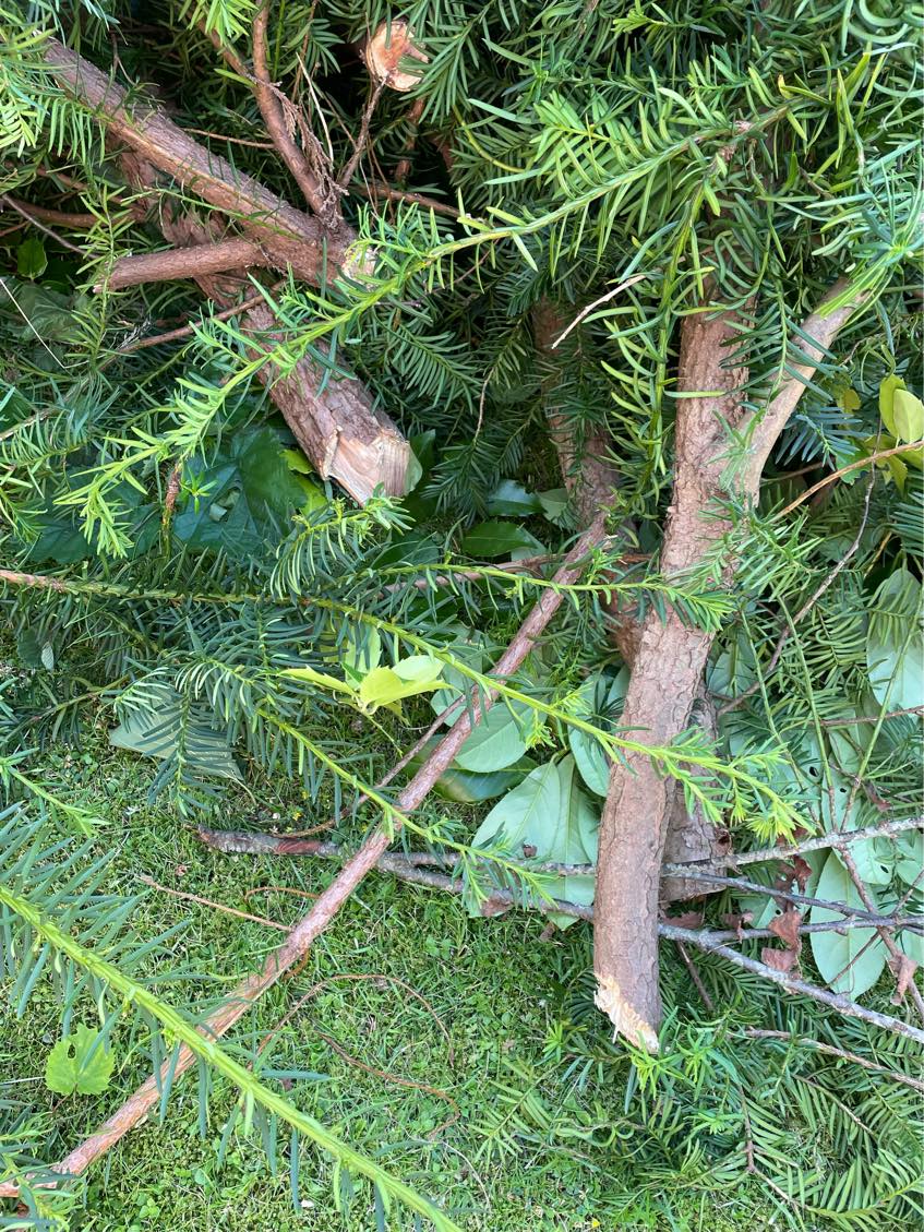 Haveaffald til genbrugspladsen