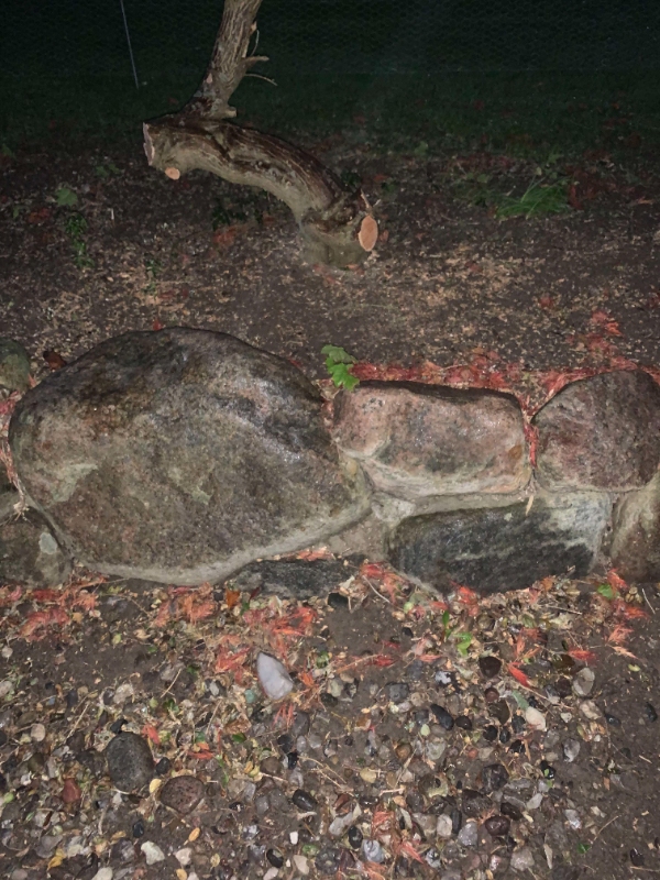 Fjernelse af sten fra stensætning