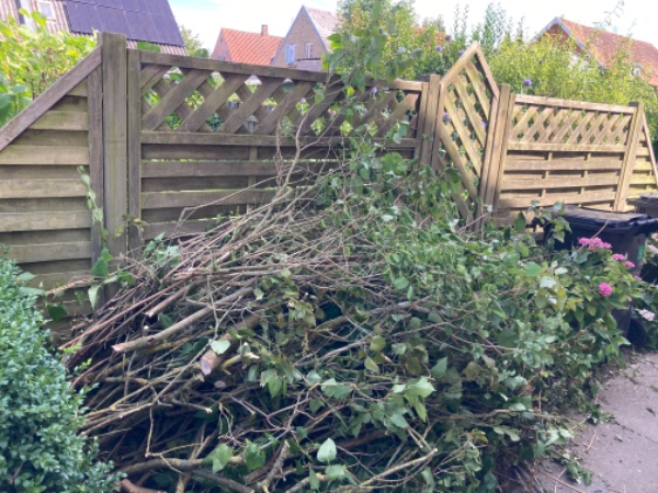 Køre grenaffald på genbrugsplads