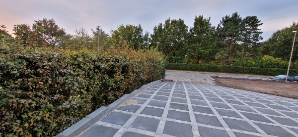 Klippe Hæk (Navr) + Bortskaffelse. 60 meter