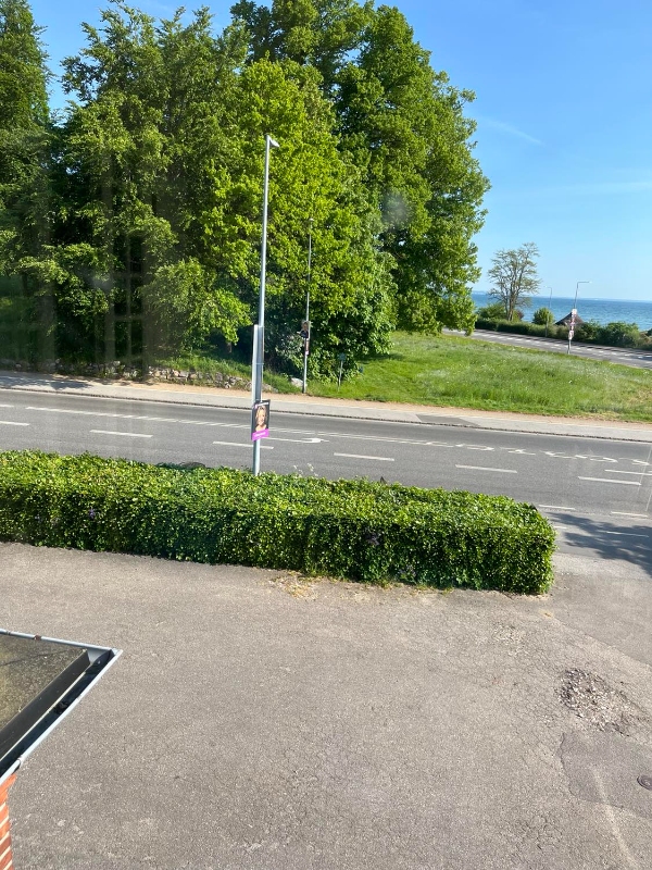 Fjernelse af ukrudt på fliser