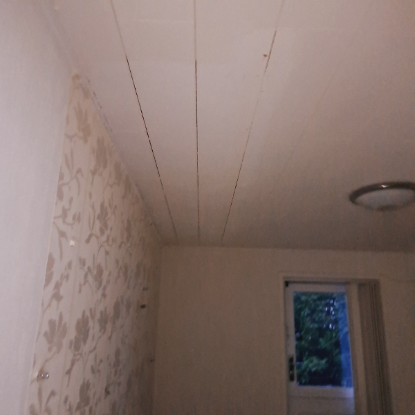 Maling opgave i Vejle