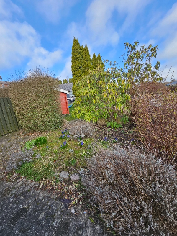 Fjernelse af bed og stenlægning