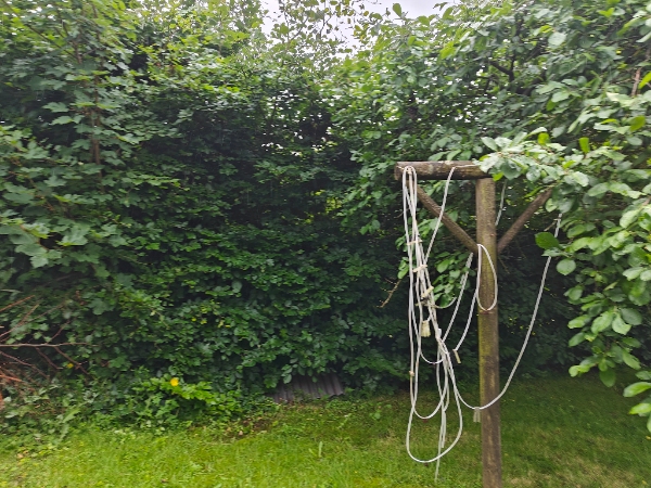 Hækklipning og fjernelse af afklip