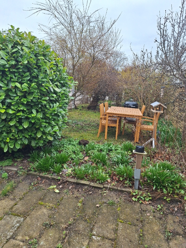 Pleje og vedligehold