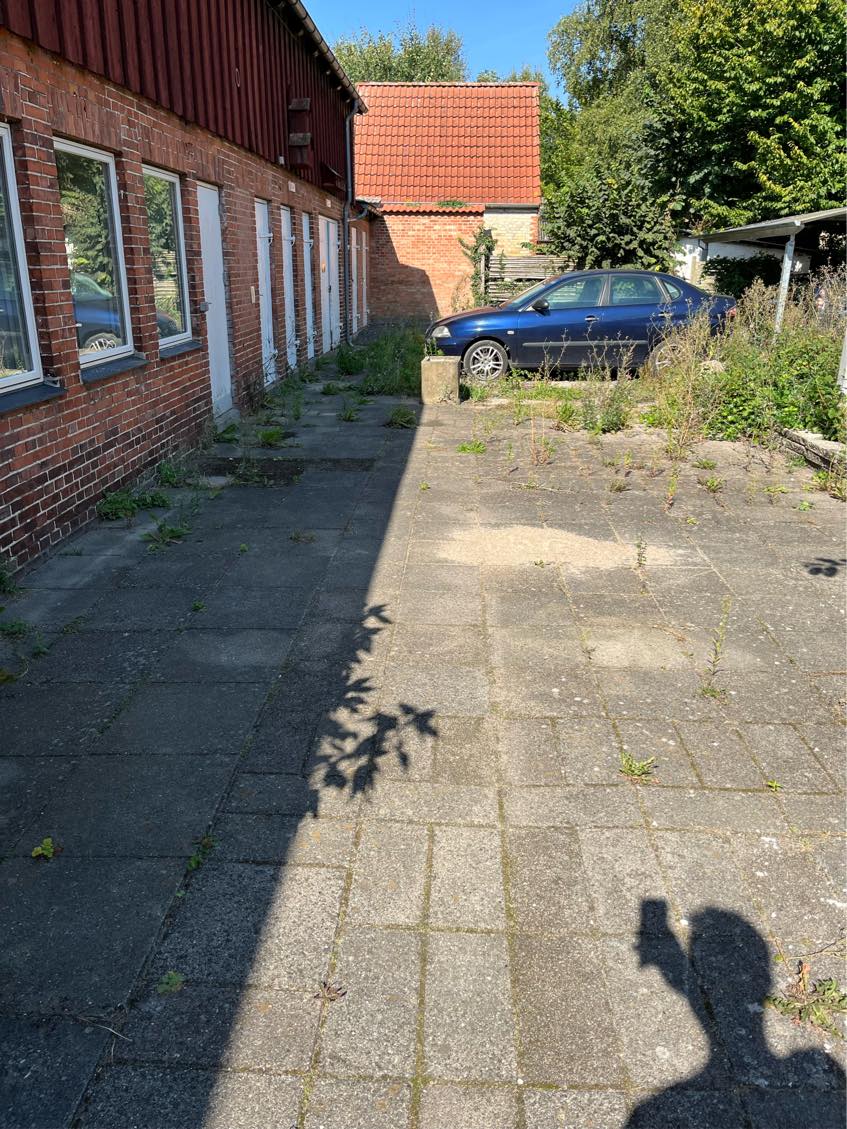 Fjernelse af ukrudt og buske