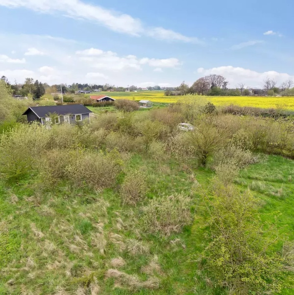 Rydning af sommerhusgrund