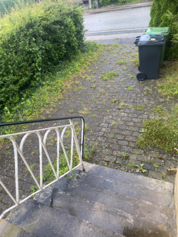 Fjernelse af ukrudt mellem fliser i to indkørsler.