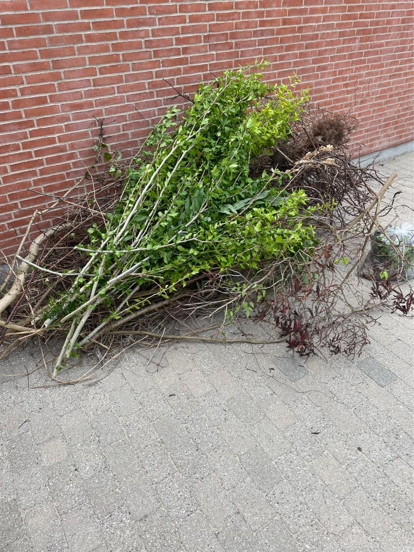 Har en del haveaffald (grene/blade) og et skrive/gaming bord som skal hentes og køres på genbrugspladsen. Vil gætte på at der er 2 trailerfulde (afhængig af trailerstørrelse)