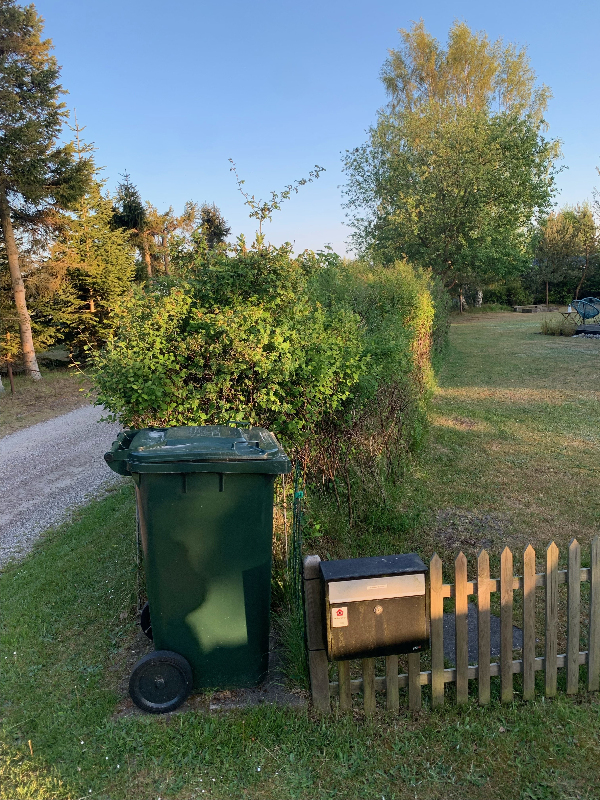 Fjernet ca. 33 meter hæk/beplantning - ca. 2 meter bred. Det skulle være Snebær mm.