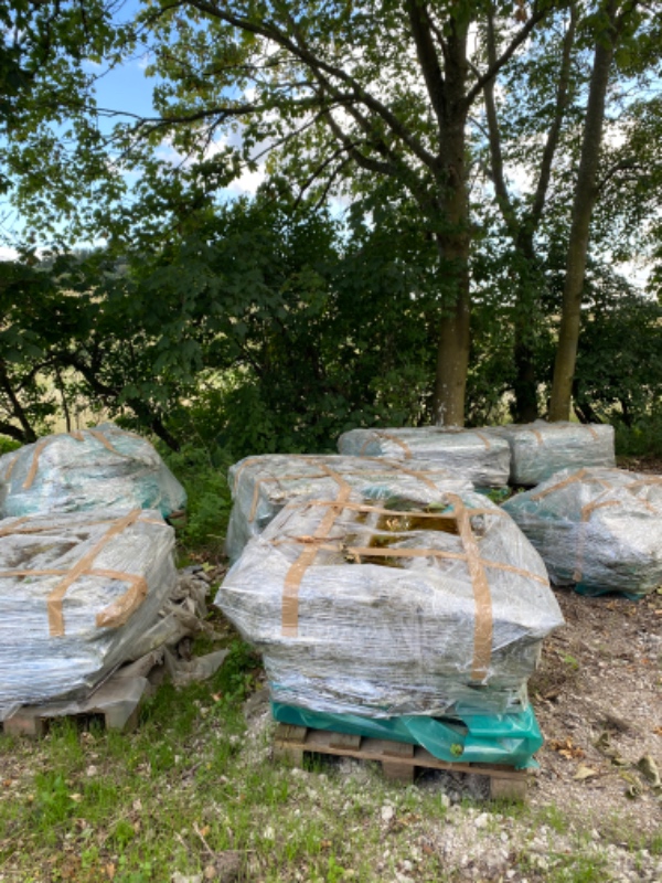 Tagplader med asbest