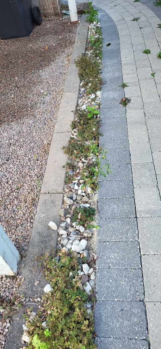 Lugning af indgangsparti