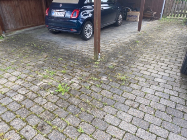 Fjernelse af ukrudt rundt om hus