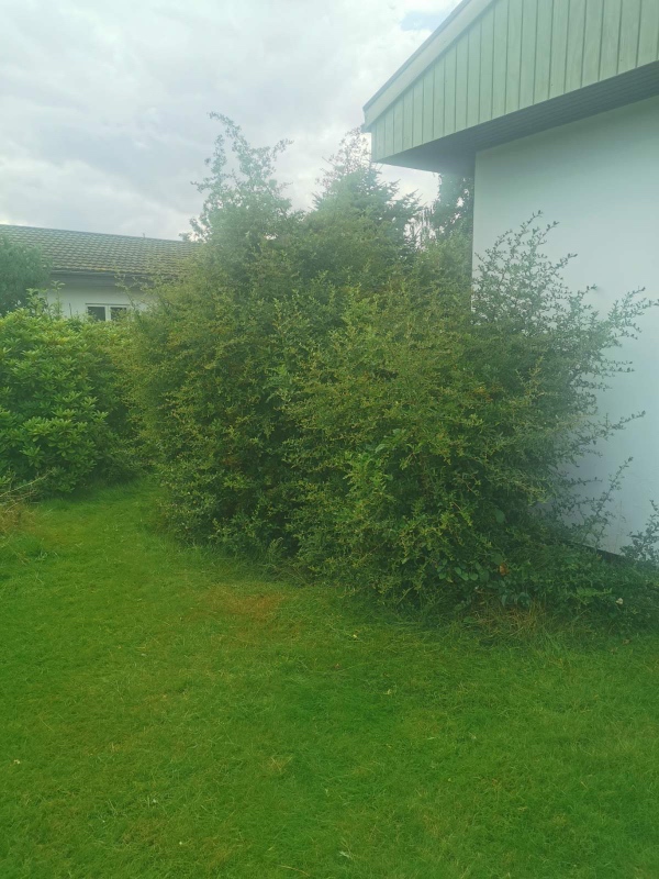 Meget havearbejde med forskellige opgaver