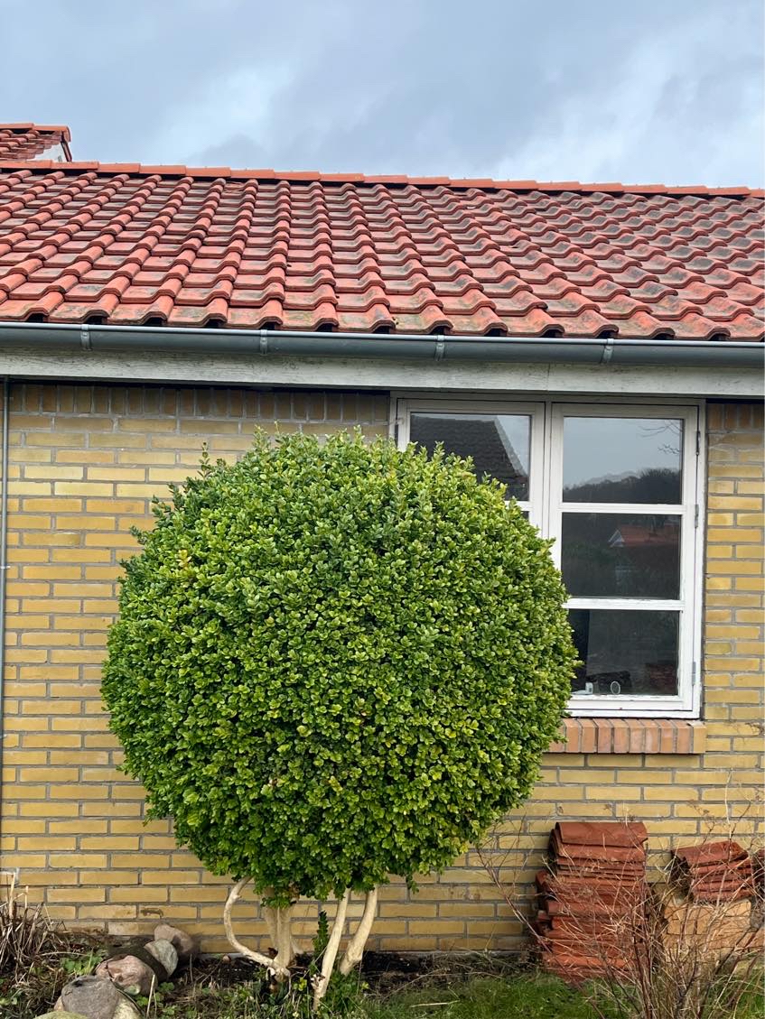 Udskifte 3 tagsten på vingetegl tag