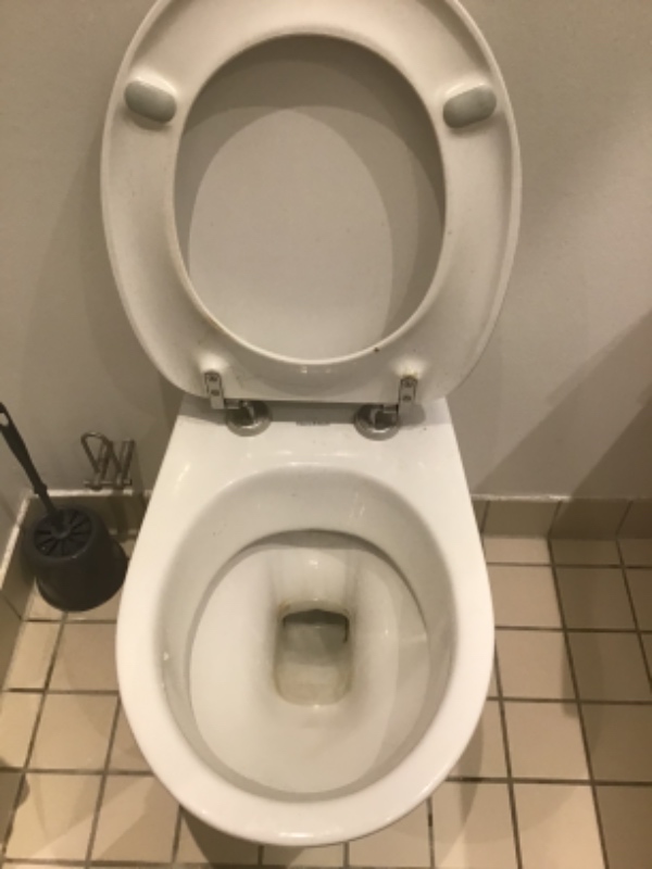 Toilet skylder dårligt hængetoilet