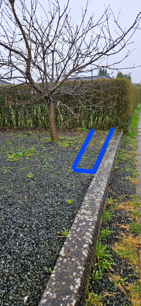 Græsslåning og hækflytning