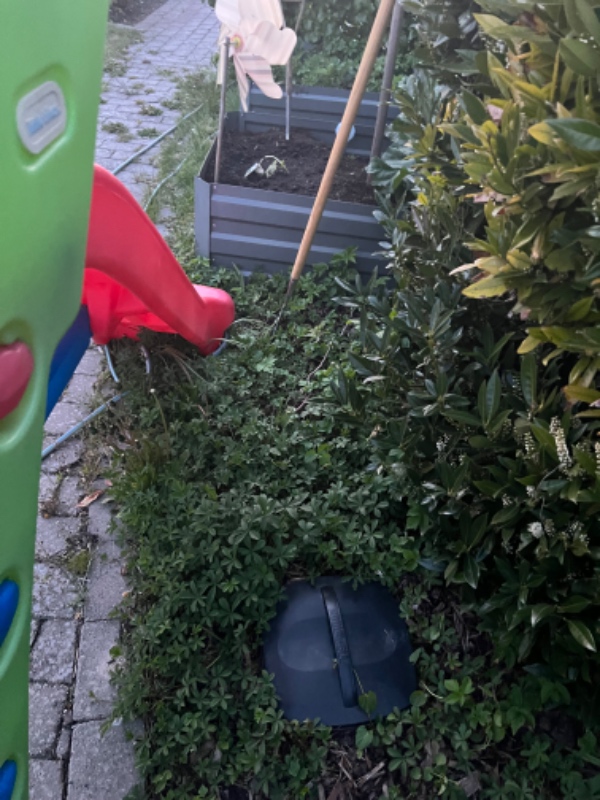 Ordnet have, ukrudt fjernes