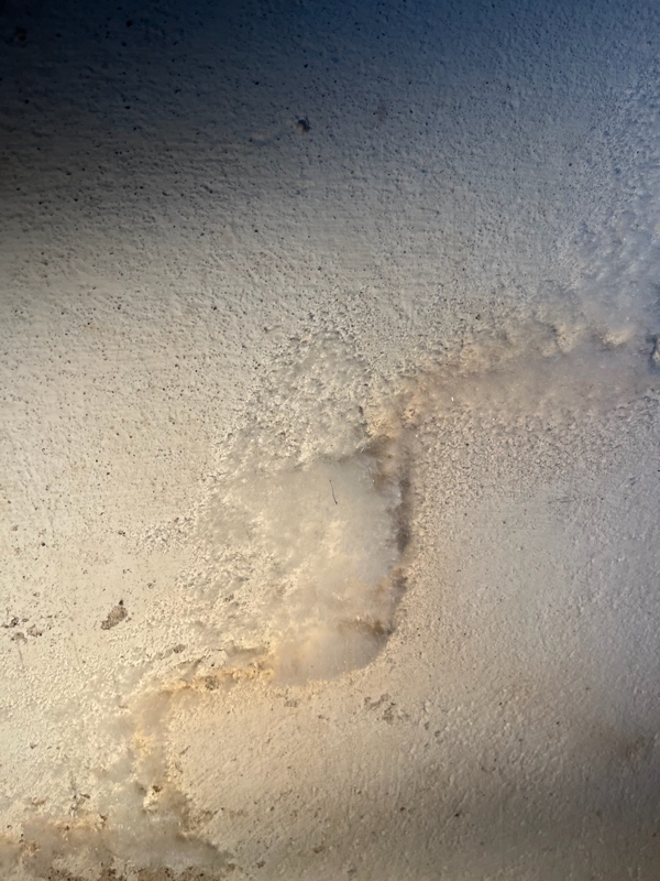 etablering af omfangsdræn i 60er parcelhus med nedgravet kælder