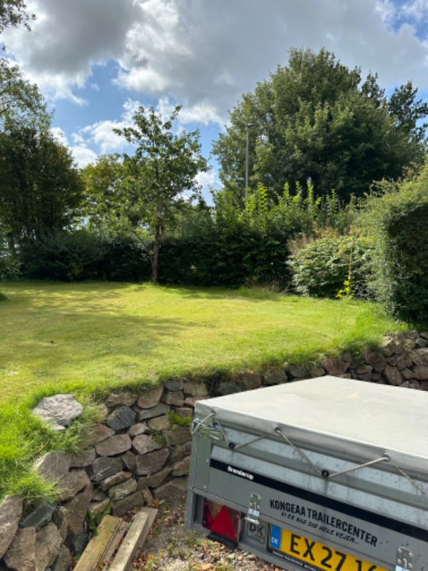 Klipning af blandede hække.