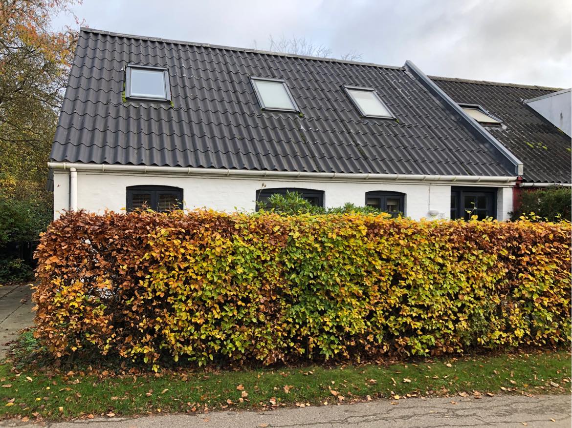 Rensning af tagrender, udbedring af utætheder i mur under udhæng