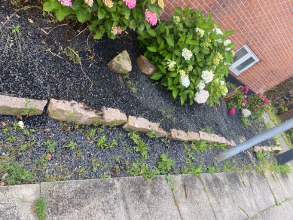 Fjernelse af ukrudt rundt om hus