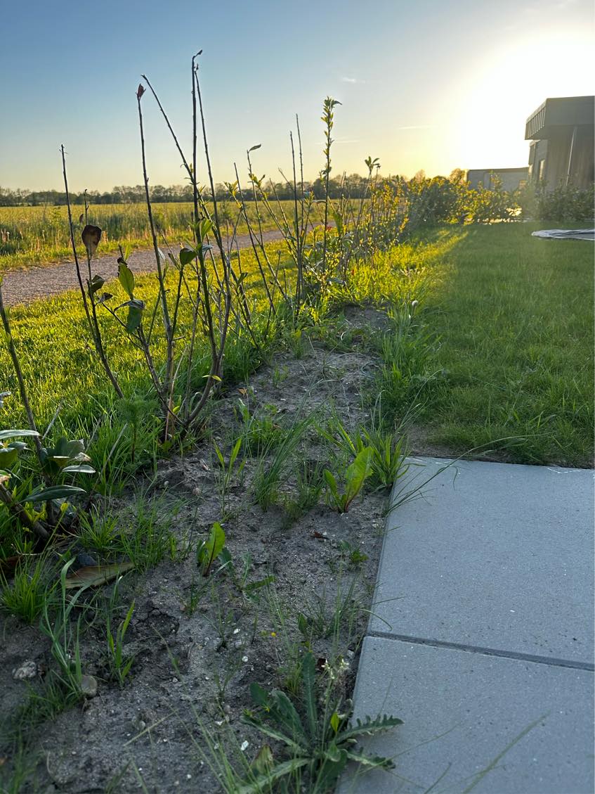 Ukrudt ved 2 langsider + lidt mellem fliser