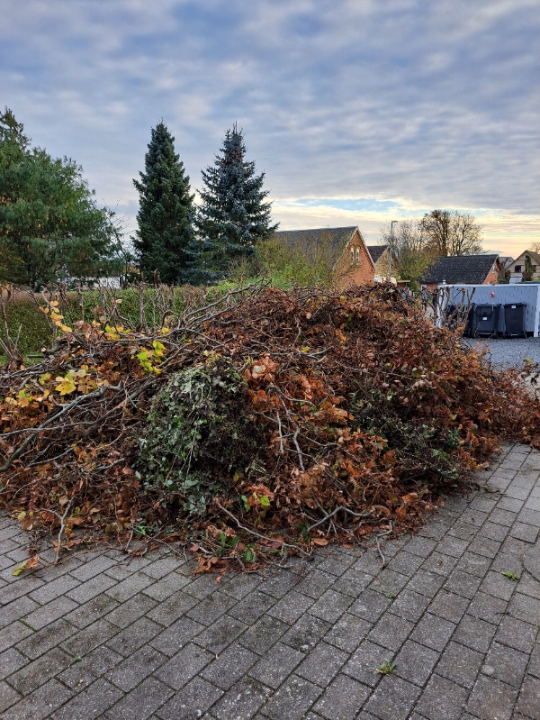 Bortkørsel af nedskåret hæk