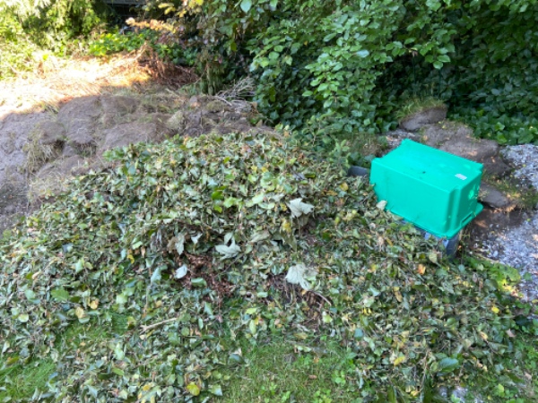 Bortkørsel af jordbunke i Holte