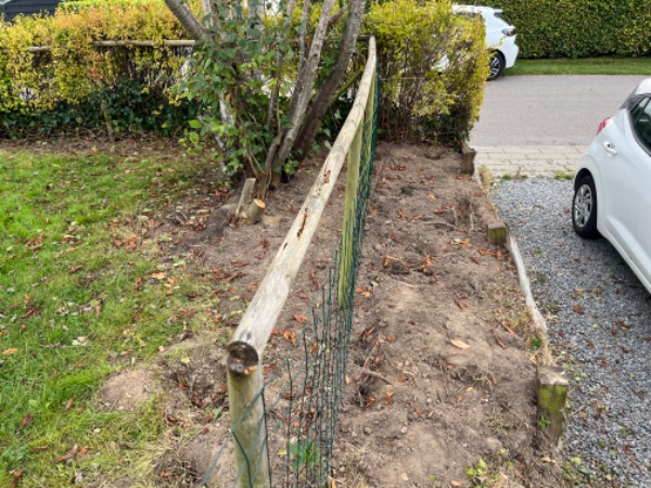 Fjernet brombær rødder og hybenroserødder i bed og gravet render til 50 meter hæk