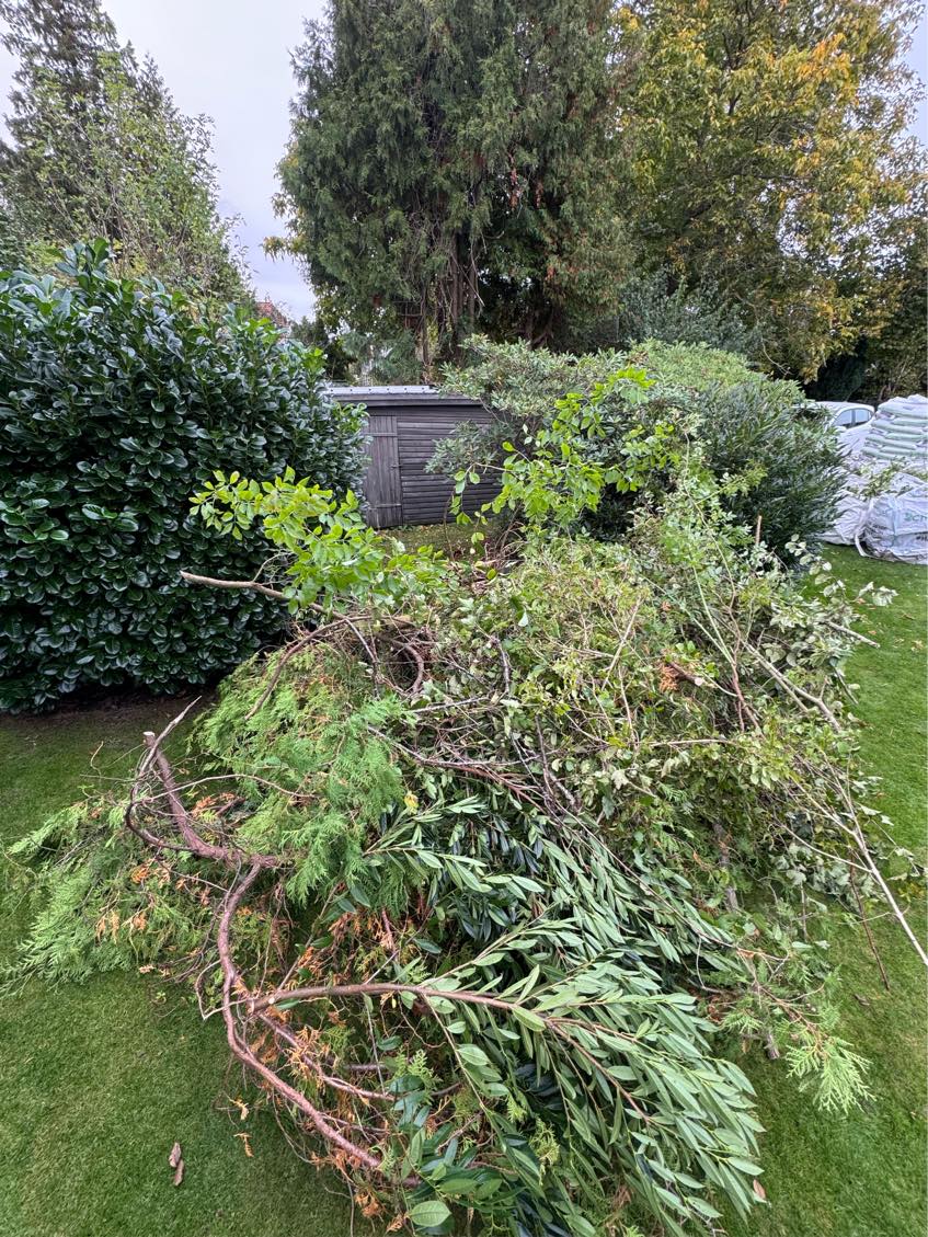 Bortskaffelse af haveaffald og euro paller