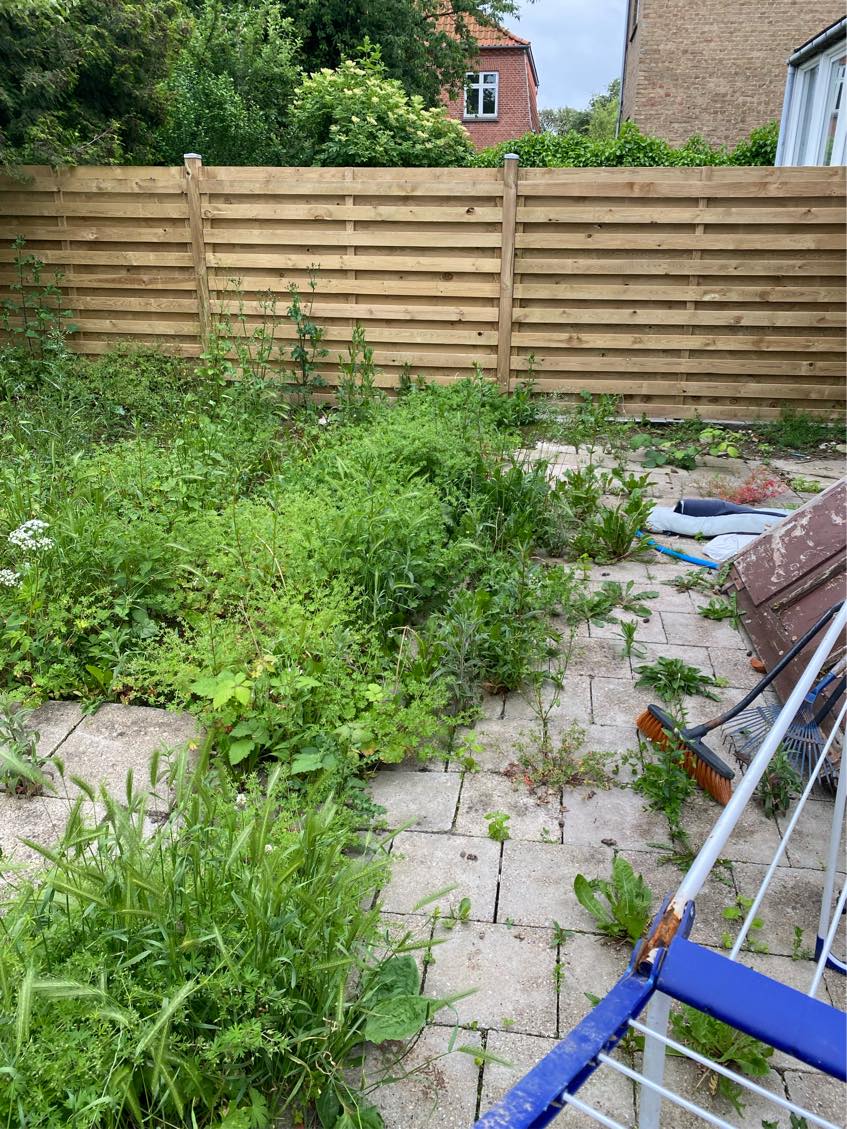 Alt græsset skal slås ned samt ukrudt skal fjernet