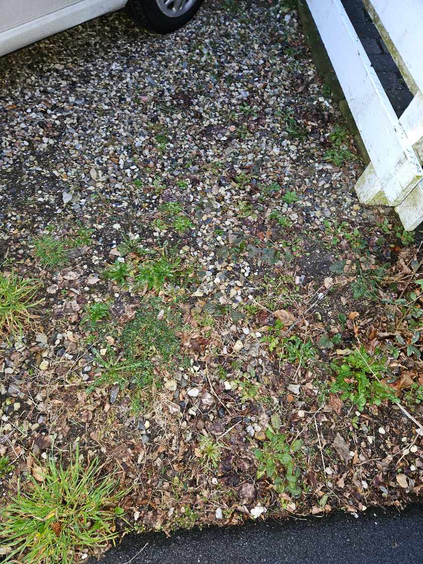 Vi skal have fjernet ca 1 kvm grus fra vores indkørsel.