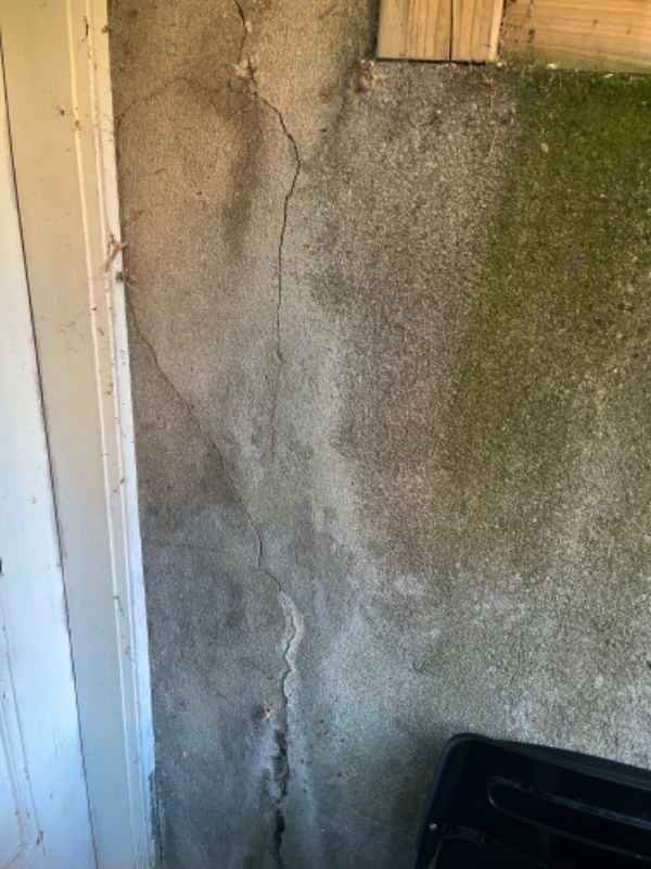 Reparation af kældertrap