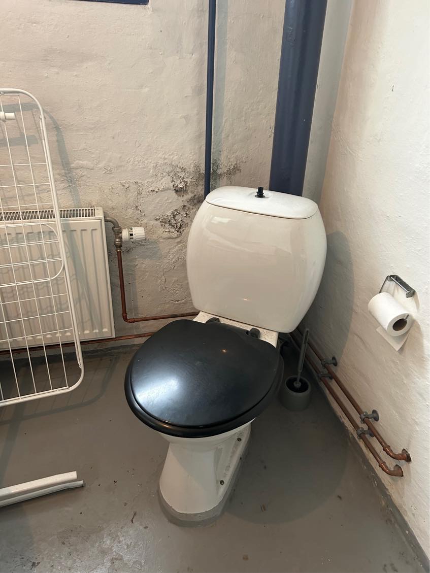 Nyt toilet og bortskaffelse af toilet