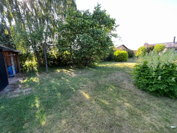 Klipning og bortkørsel af ca. 90m hæk (kun en side) med variabel højde