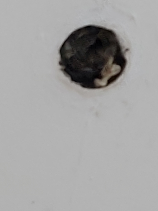 Montering af loftlamper x 2