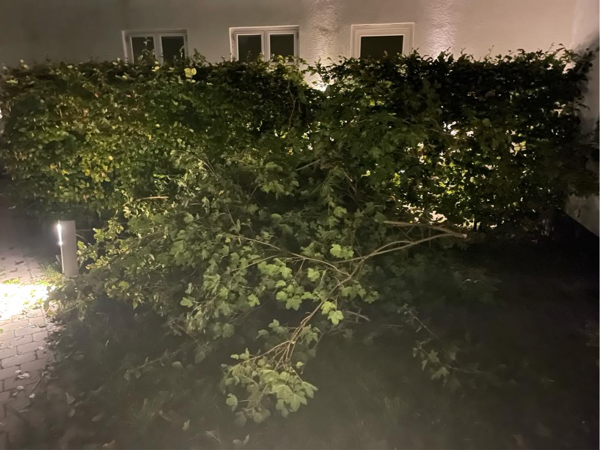 Kørt haveaffald til genbrugsplads